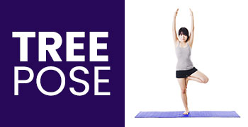 tree-pose.jpg Image showing someone doing the tree pose