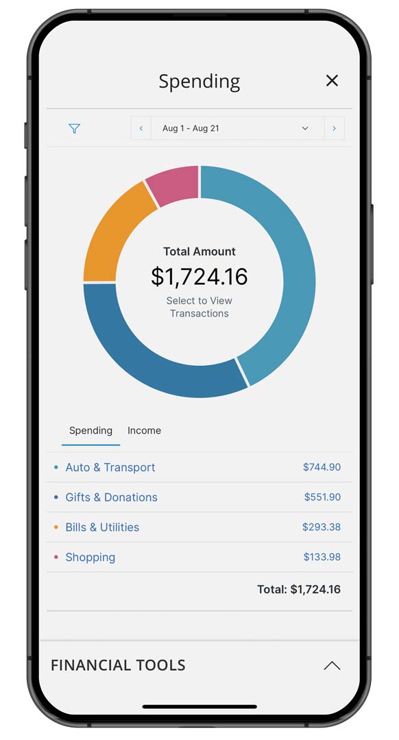 Create a budget and track spending